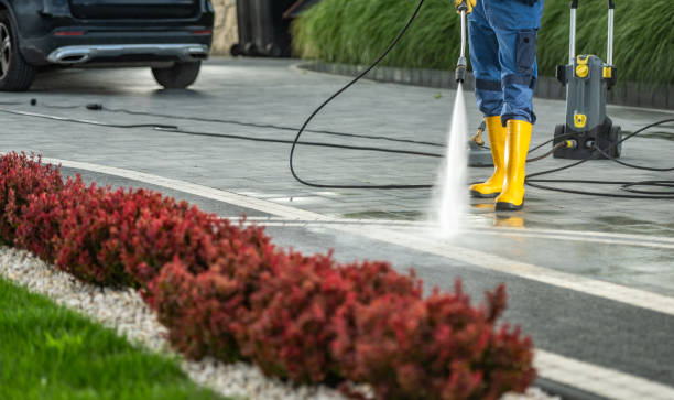 Best House Exterior Washing  in Shell Ridge, CA